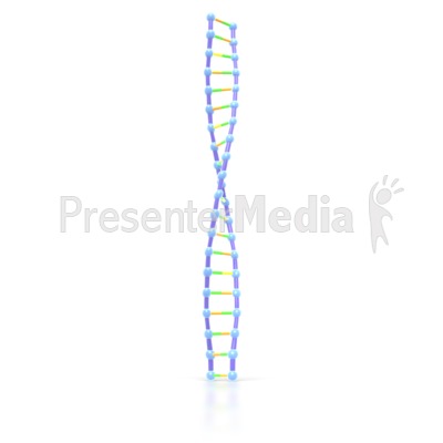 Dna Helix Strand Presentation clipart