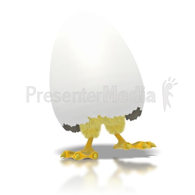 baby chicks clipart. Baby Chicken or Chick Hatching