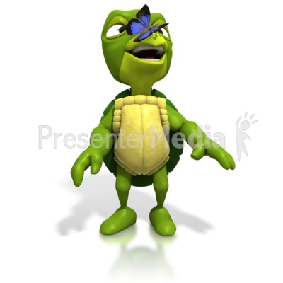 Butterfly Resting On Turtle Nose Presentation clipart
