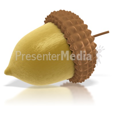 Tree Acorn PowerPoint Clip Art 2011