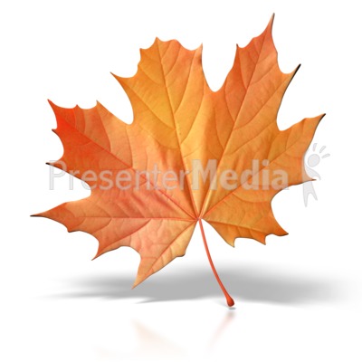 Autumn Leaf Presentation clipart