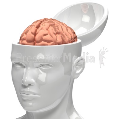 Brain Inside Head Presentation clipart