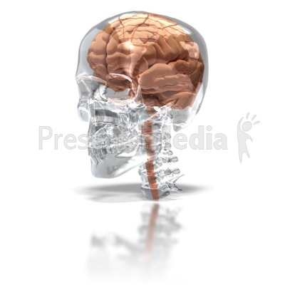 Brain in Glass Skull Presentation clipart
