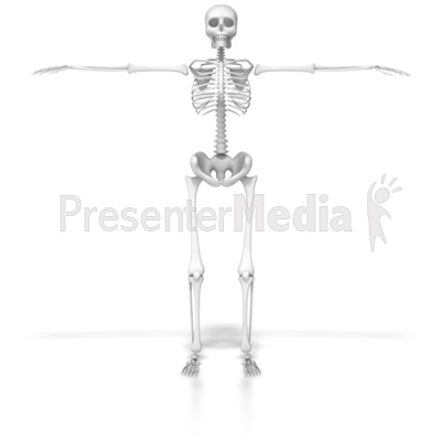 Skeleton In Default Pose Presentation clipart