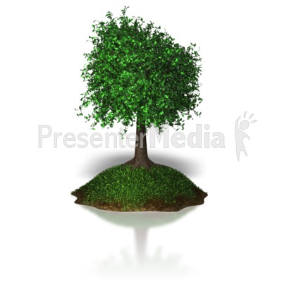 Island Tree Presentation clipart