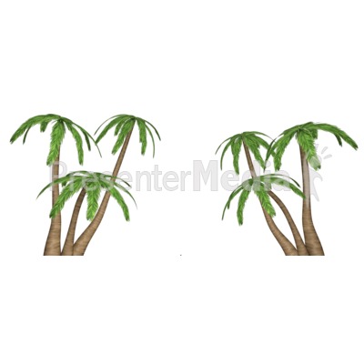 Palm Tree Clusters Presentation clipart