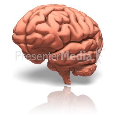 Human Brain Presentation clipart