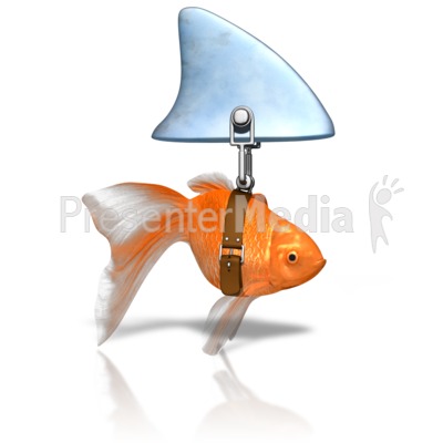 Clever Goldfish Shark Presentation clipart