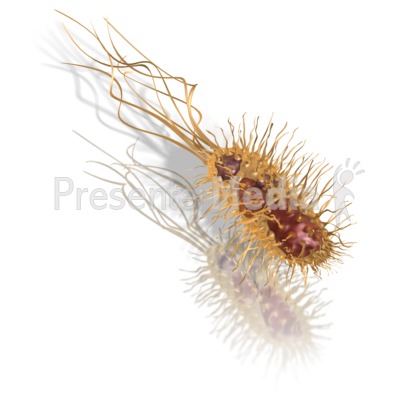 Common Bacteria Presentation clipart