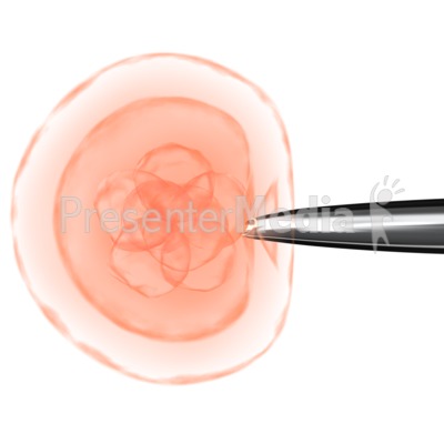 Needle In Cell Presentation clipart
