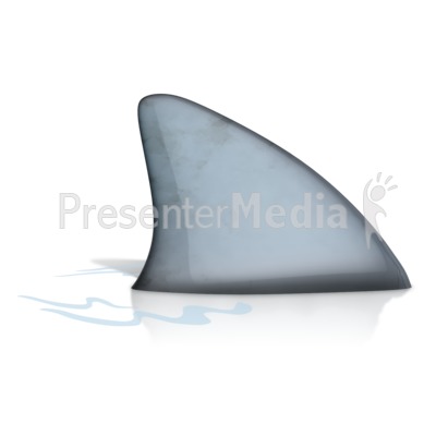 Shark Fin Presentation clipart