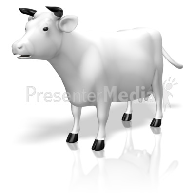 Cow Presentation clipart