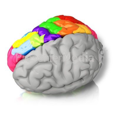 Right Brained Color Presentation clipart