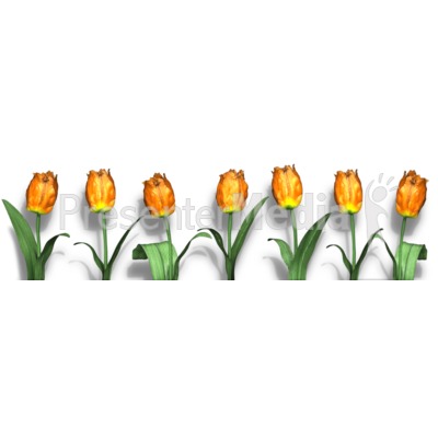 Row Of Flowers Presentation clipart
