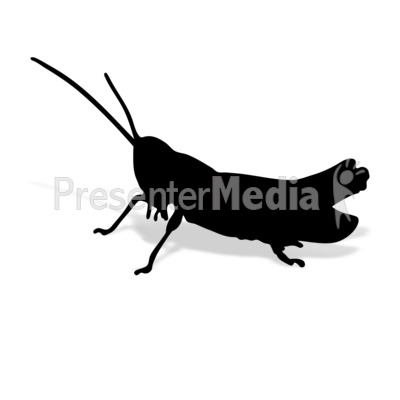 Grashopper Presentation clipart