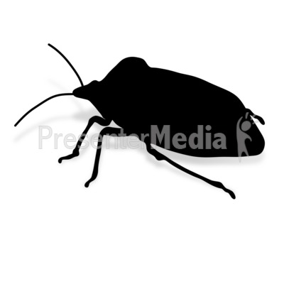 Stink Bug Presentation clipart