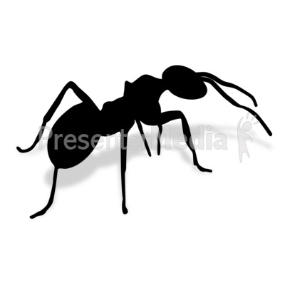 Ant Presentation clipart
