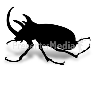 Rhino Beetle Presentation clipart