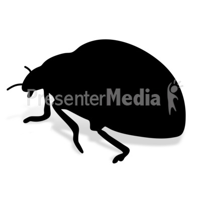 Lady Bug Presentation clipart