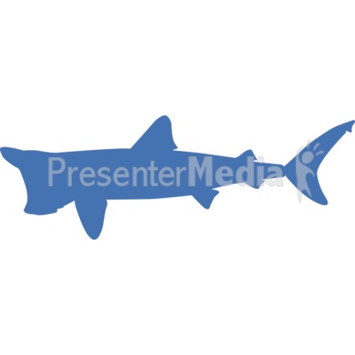 Basking Shark Silhouette Presentation clipart