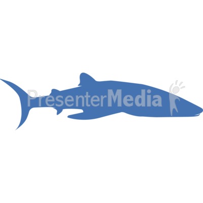 Whale Shark Silhouette Presentation clipart