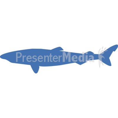 Greenland Shark Silhouette Presentation clipart