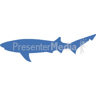 Broadnose Sevengil Silhouette Presentation clipart