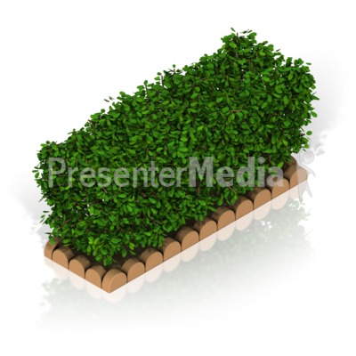 Hedge Presentation clipart