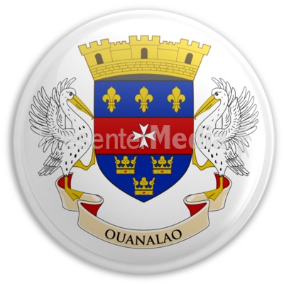 Flag Saint Barthelemy Button Presentation clipart
