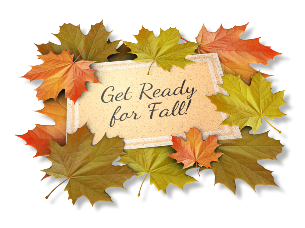 A feature image preview for the blog Falling into Fall -  A look at creating some excellent Fall graphics with leaves clipart and animations..