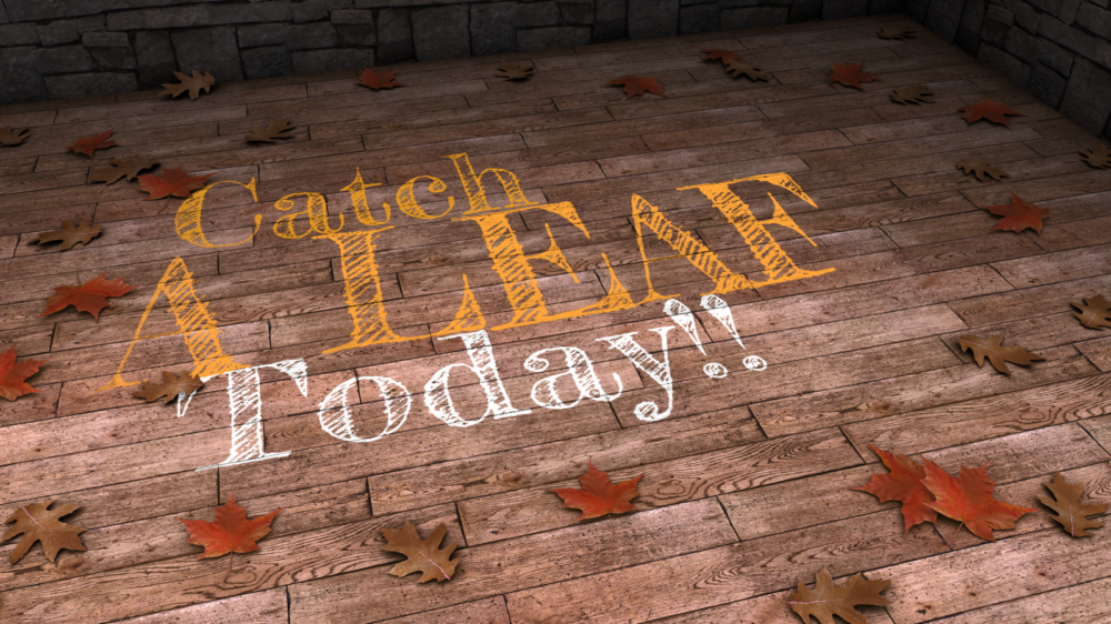 wooden floor with maple leaves scattered on it, text "Catch a leaf today" displayed in chalk font