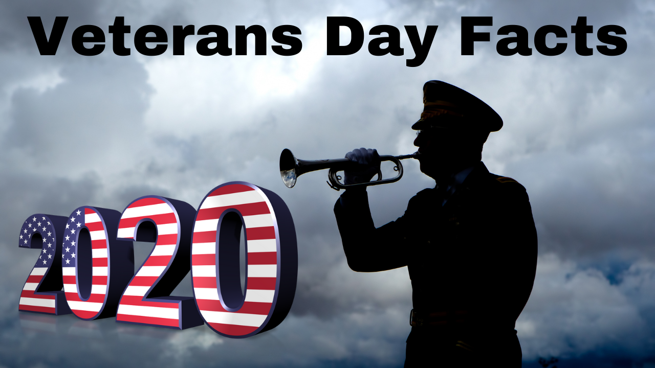 A feature image preview for the blog Veterans Day Facts.